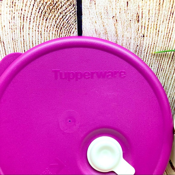 Tupperware # 6437A-4 Vent & Serve Round Seal REPLACEMENT Purple & White - Picture 2 of 8